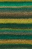 1077.0004 - grün