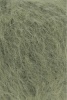 1084.0118 - spirulina