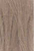 1085.0039 - camel