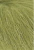 1097.0098 - Olive