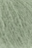 1107.0092 - salbei