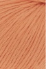 1111.0059 - Orange
