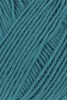 112.0088 - petrol