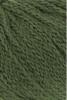 1124.0118 - Spirulina