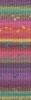 1125.0008 - multicolor dunkel