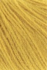 1134.0050 - Gold