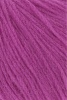 1134.0065 - Fuchsia