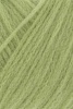 1134.0097 - Olive hell