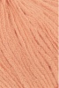 1138.0027 - Peony
