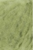 1149.0117 - kale