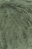 1149.0118 - spirulina