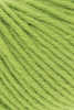 1154.0044 - lime