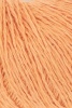 1159.0027 - apricot