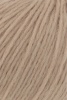 1162.0039 - camel