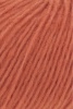 1162.0059 - pumpkin