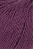 1167.0066 - beere