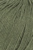 1167.0098 - olive dunkel