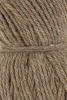 1172.0039 - camel