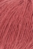 1176.0060 - tomato