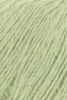 1176.0116 - pistachio