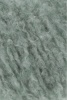 1177.0008 - graugr