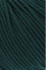 152.0017 - Tanne