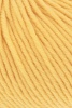 152.0049 - Goldgelb