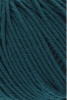 152.0088 - Petrol