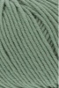 152.0091 - Salbei