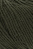 152.0398 - Olive