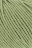 34.0198 - Olive Hell