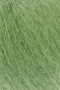 698.0116 - Grasgrün