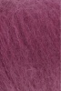 698.0146 - Zyklame