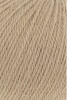 719.0238 - Camel