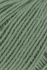 72.0091 - Efeu