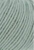 72.0092 - Salbei