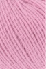 78.0019 - rosa