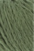 933.0117 - fern