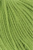 959.0117 - grasgrün
