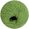 15 - Gras