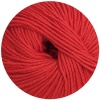 21 - Rot