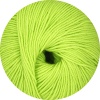 06 - Kiwi