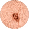 31 - Apricot