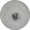 12 - Hellgrau (100g)