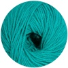 234 - petrol
