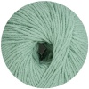 244 - altmint