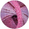 04 - Rosa