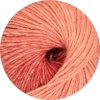 105 - Apricot/Rot degrade