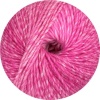 106 - Rosa degrade