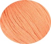 06 - apricot